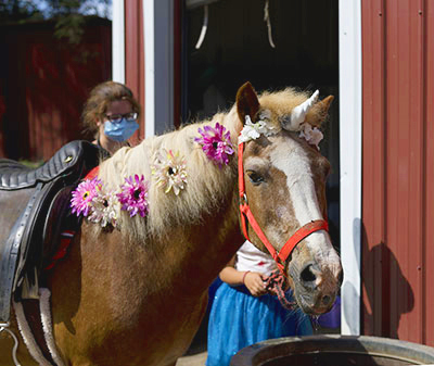Goldie enjoys Fairy-Unicorn Camp