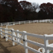 pony party