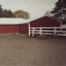 pony party