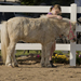 pony party